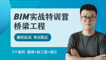 BIM桥梁工程师训练营（2021版）