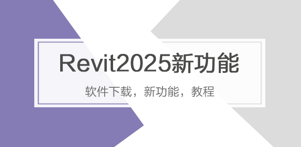 Revit2025专题