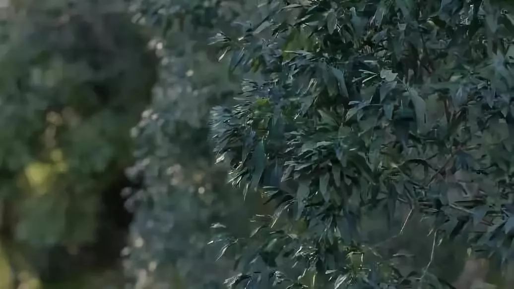 腿腿教学网-还在用Lumion9？Lumion 10来啦！（文末附下载链接）