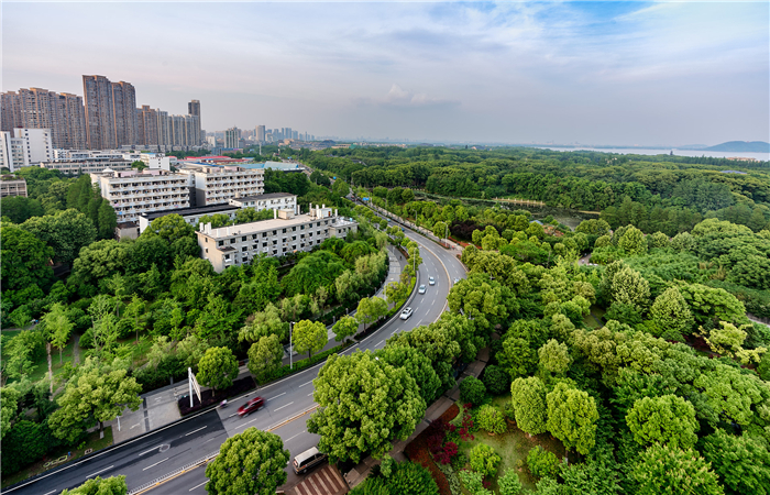 腿腿教学网-道路交通建设都用什么技术？BIM在道路交通建设中有哪些优点？