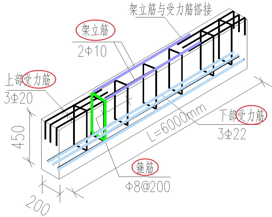 02架力筋、箍筋、受力筋.png