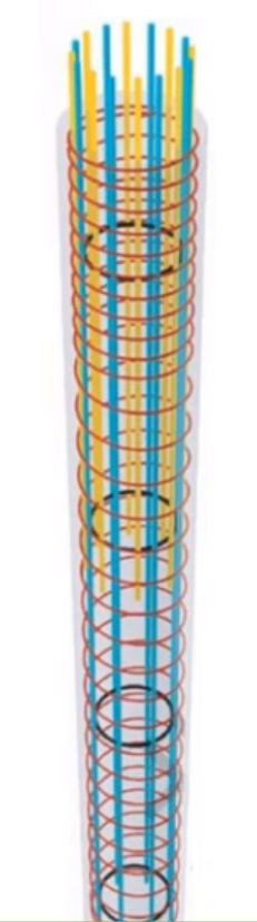 01-桩基础钢筋分布.png 01-桩基础钢筋分布.png