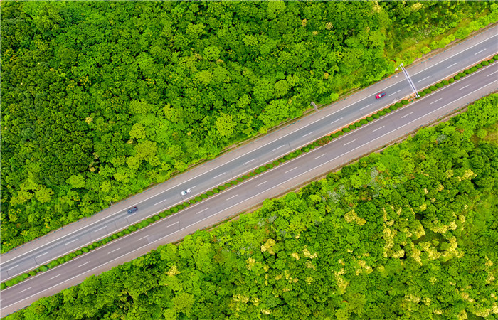 腿腿教学网-市政道路的设计是否合理？如何利用BIM对其进行优化？