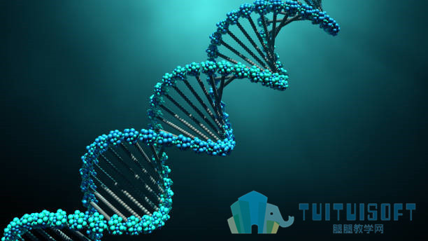 DNA.jpg
