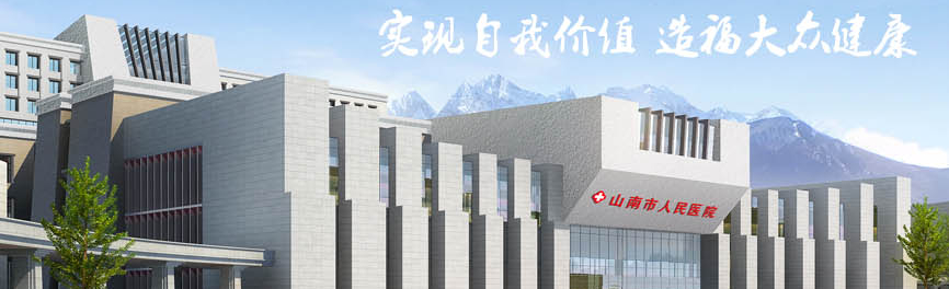西藏BIM,BIM案例,BIM 腿腿教学网-西藏BIM案例——BIM如何在藏区建设EPC项目?