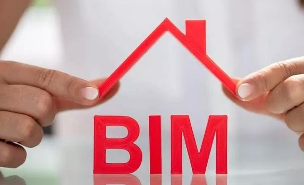 腿腿教学网-BIM考试是选择管理岗？还是选择技术岗？