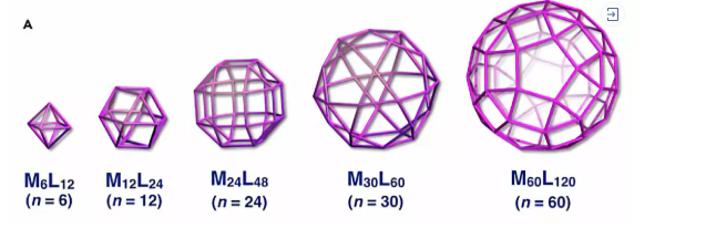 C4D,C4D教程 腿腿教学网-C4D怎么画图?五种MnL2n超分子球笼的C4D画法