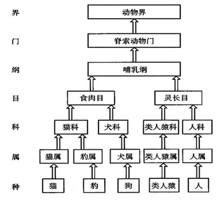 微信图片_20221219111159.jpg