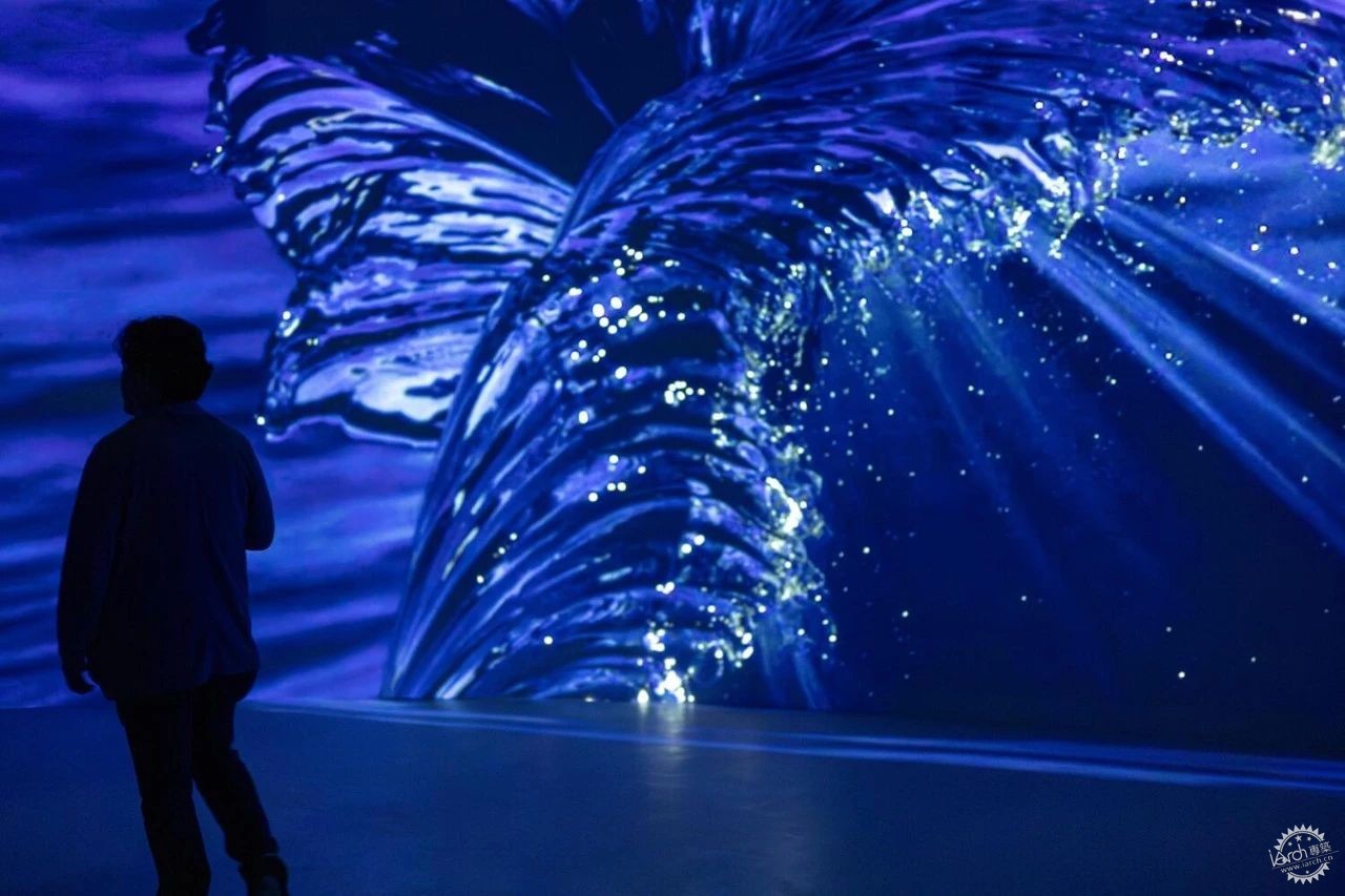 谁说世博会过气了？ 盘点2025大阪世博特色展馆第74张图片