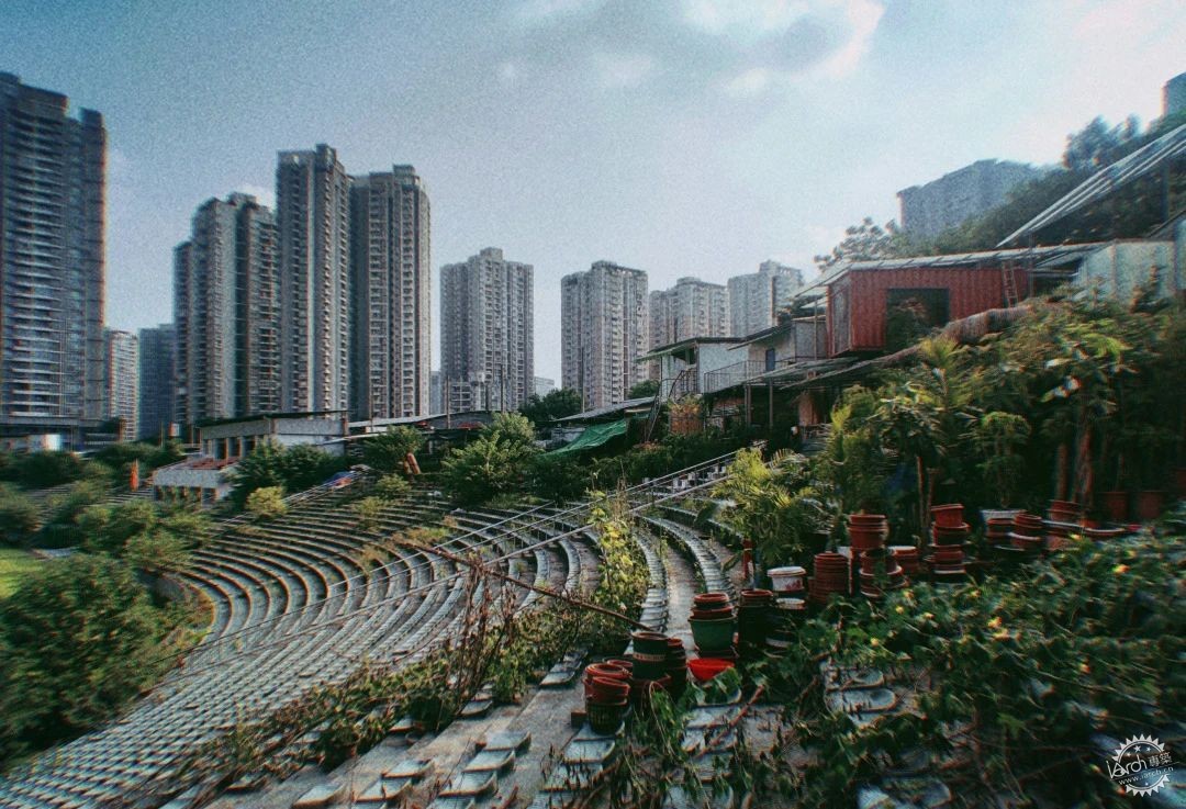 洋河体育场：一处没有观众，却鲜花盛开的遗忘之地第18张图片
