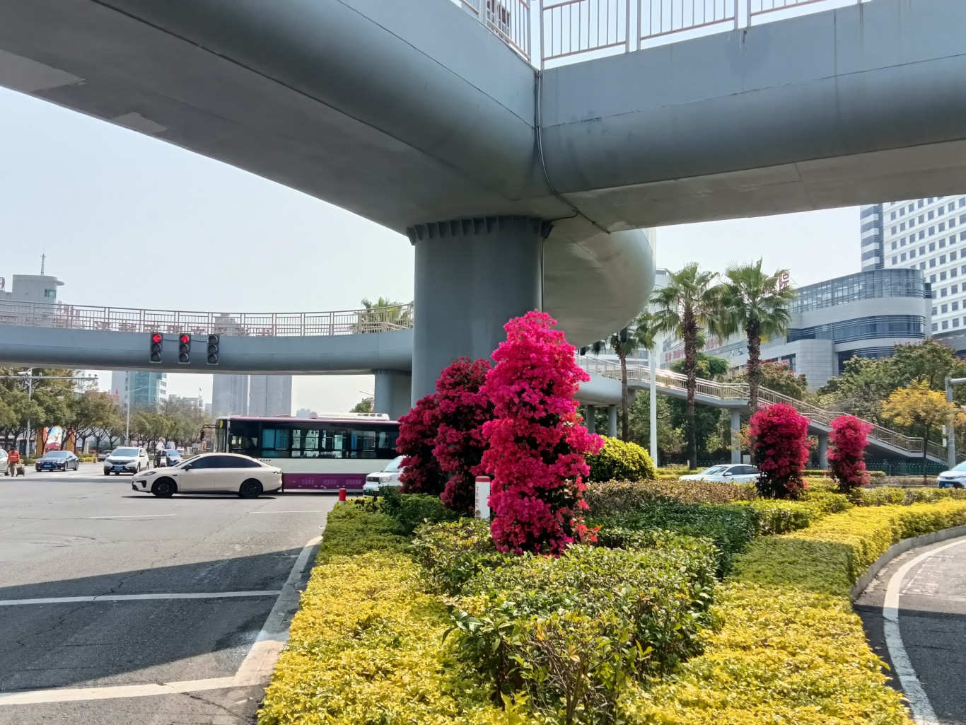 龙海区 | 升级绿化焕新颜 绘就城市园林新画卷 龙海区 | 升级绿化焕新颜 绘就城市园林新画卷