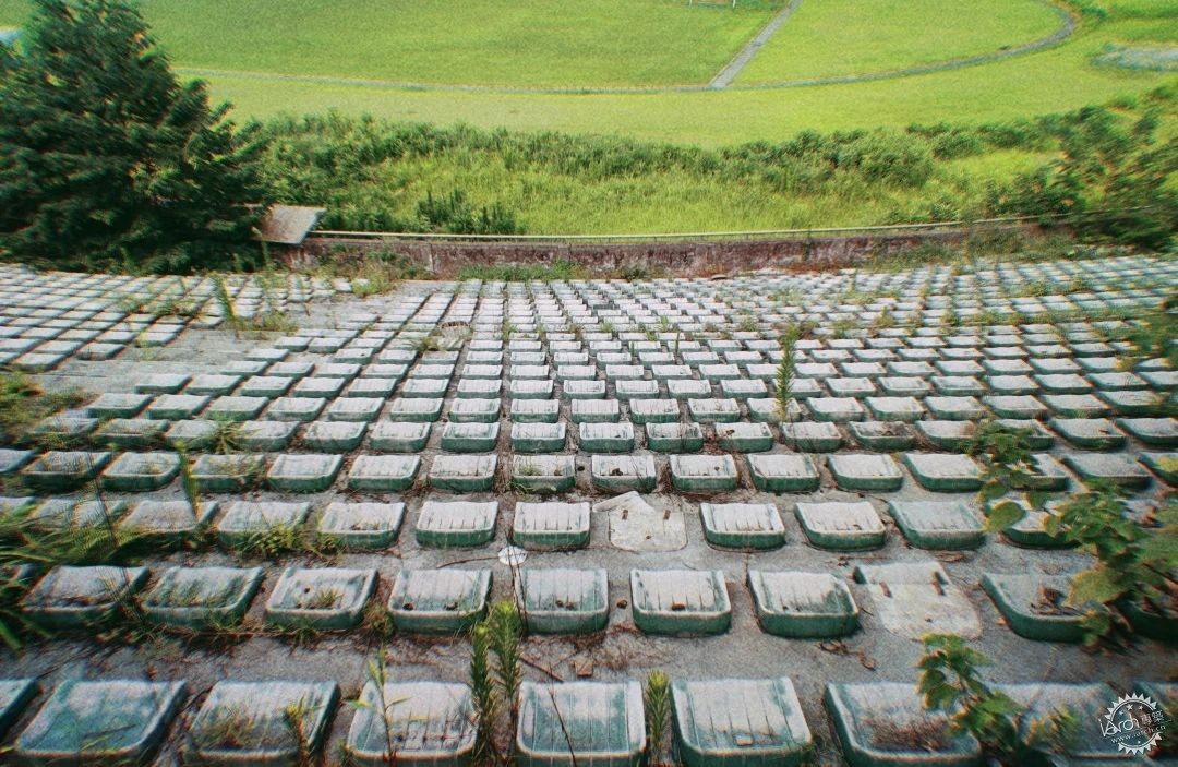 洋河体育场：一处没有观众，却鲜花盛开的遗忘之地第16张图片