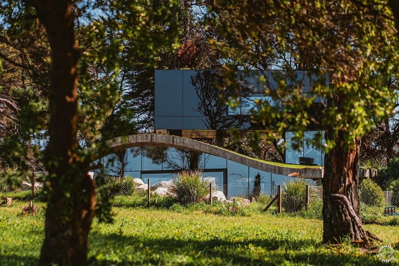 在森林虚空中生长的建筑诗学 | 莫罗住宅第3张图片