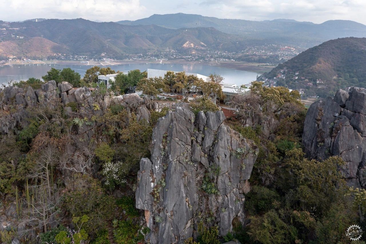 房子绕树建，岩石当墙面，山林之间藏着一座“隐形住宅”第5张图片