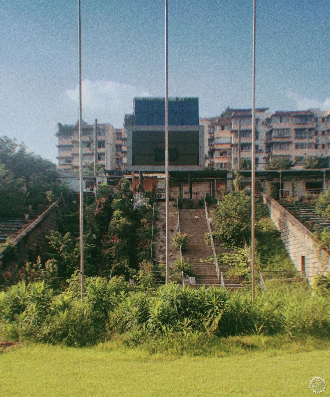 洋河体育场：一处没有观众，却鲜花盛开的遗忘之地第38张图片