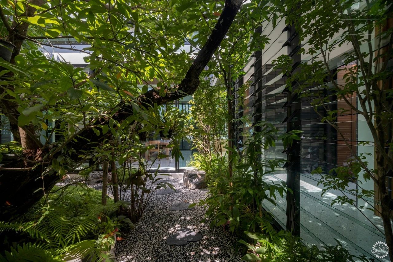 “树屋”重构居住想象，七个庭院围合出的家，原来生活可以如此诗意第5张图片