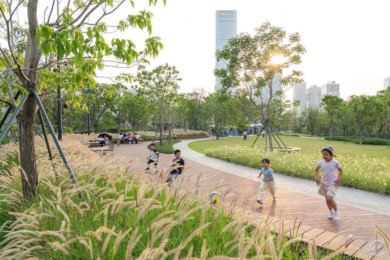 深圳人才公园（二期）：生长的湾区城市客厅第22张图片
