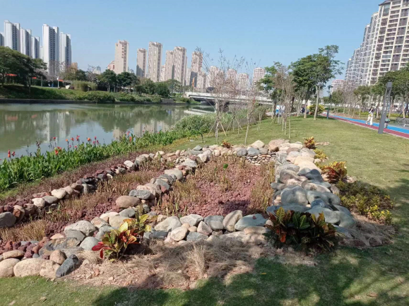 内河治理2.0的探索与实践 | 九十九湾示范段（上美湖至响水桥）整治提升工程项目