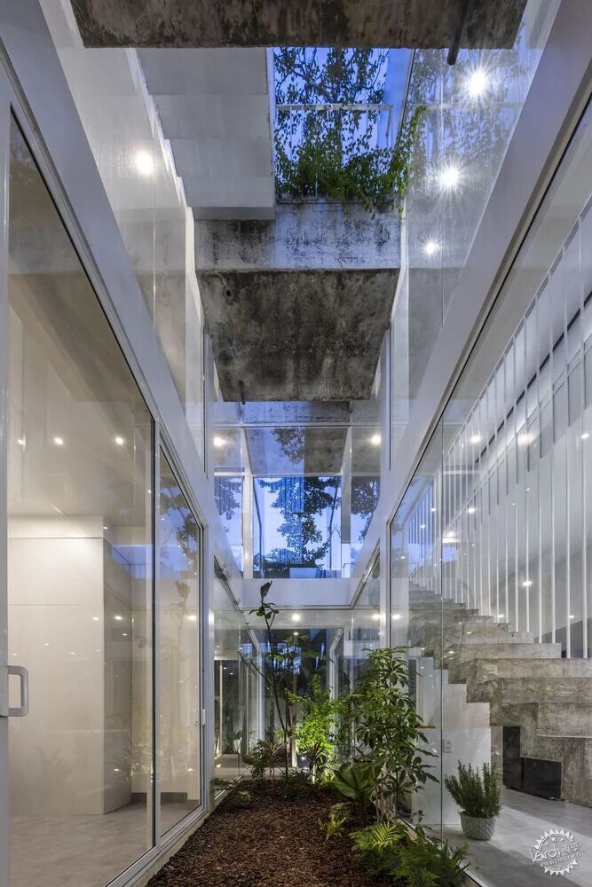他家在越南，把楼劈开造了个会呼吸的峡谷第14张图片