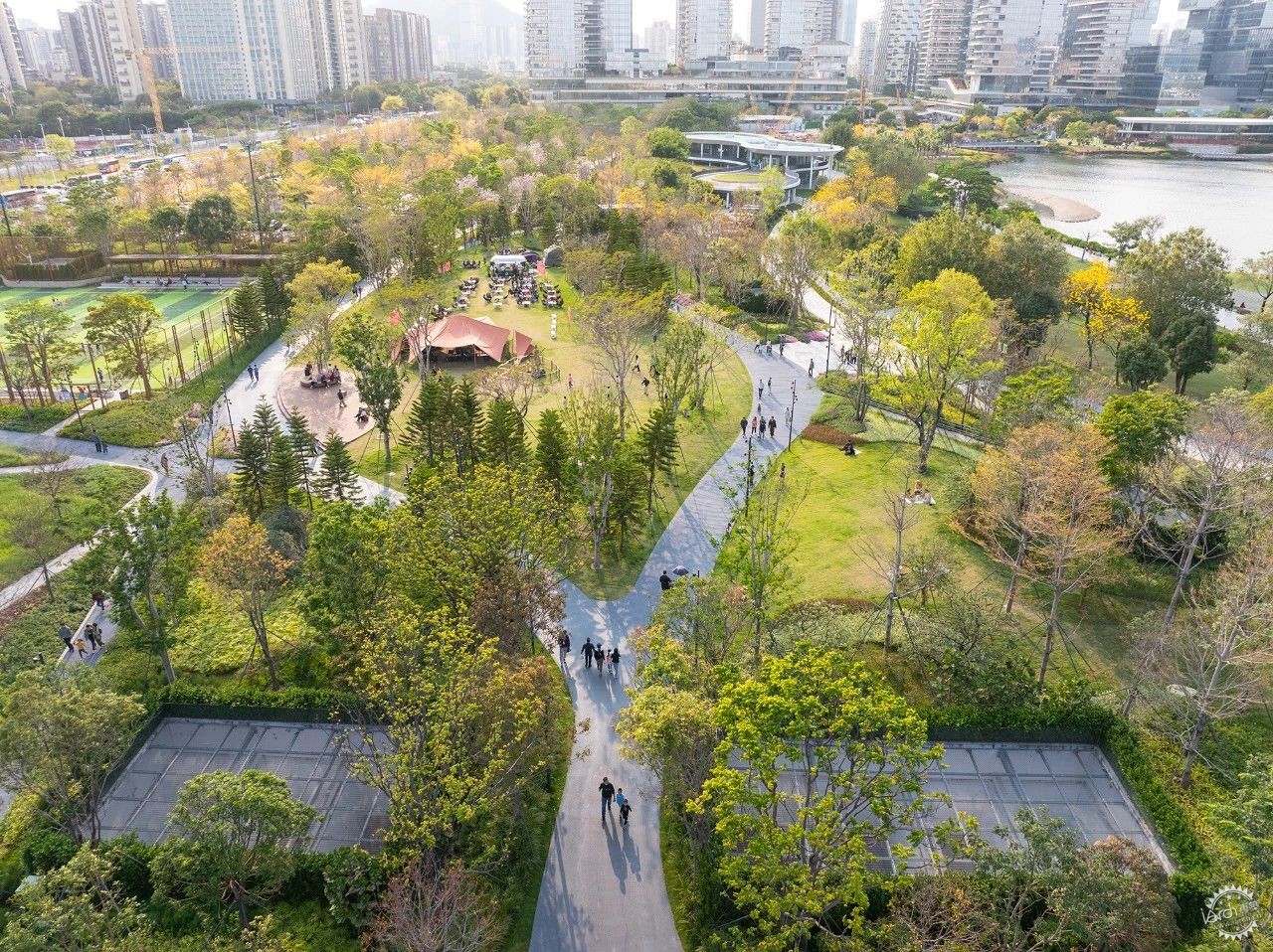 深圳人才公园（二期）：生长的湾区城市客厅第4张图片