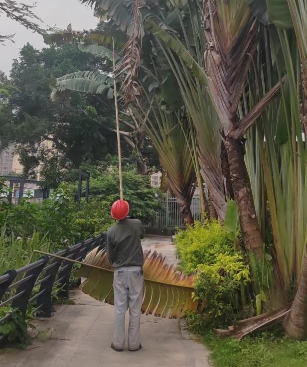 南靖县 | 绷紧思想弦，筑牢园林安全生产防线