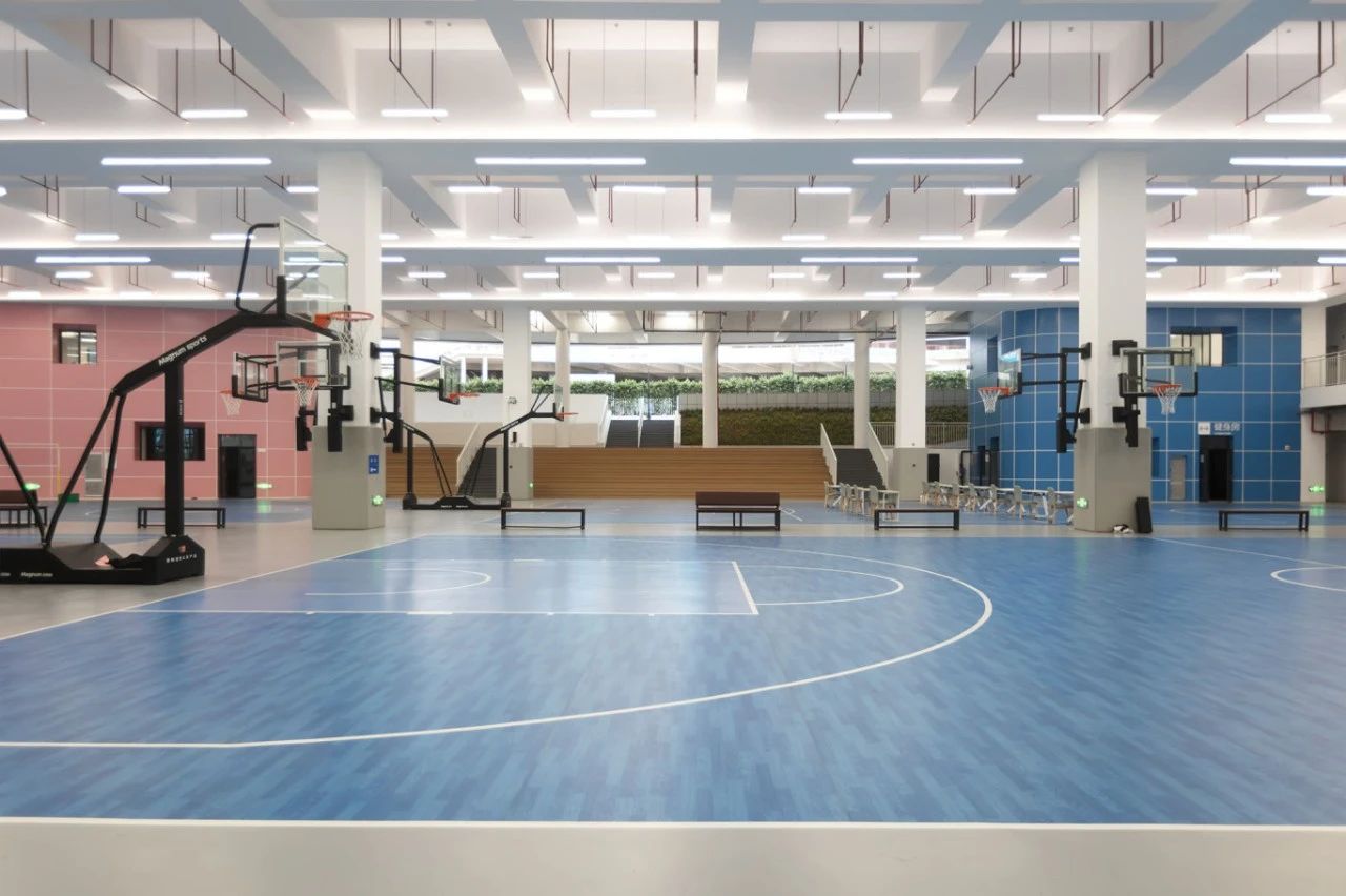 深圳梅园实验学校：于城市山林中开启未来第12张图片