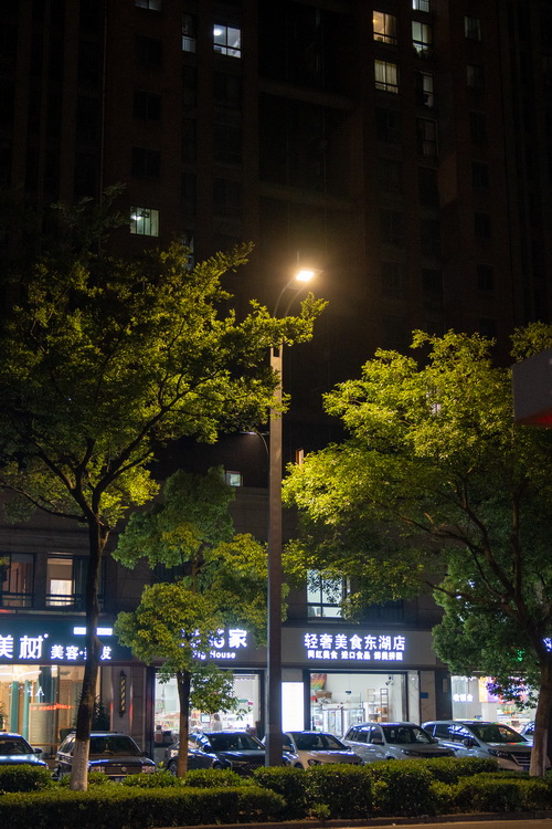 三港路(案山路-东方路)、锦绣路、环城东路(吕公桥以北)道路路灯改造工程2_调整大小.jpg 三港路(案山路-东方路)、锦绣路、环城东路(吕公桥以北)道路路灯改造工程2_调整大小.jpg