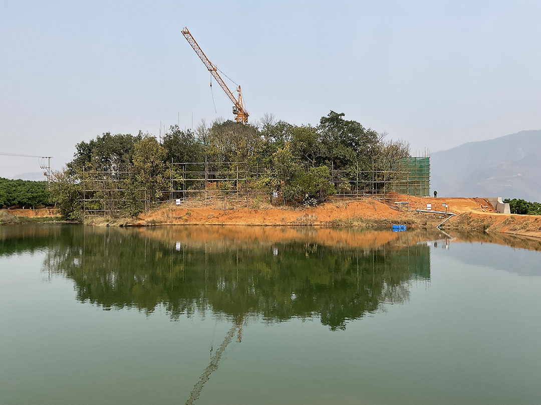 褚橙庄园生活中心，林隙间生长出的建筑第18张图片