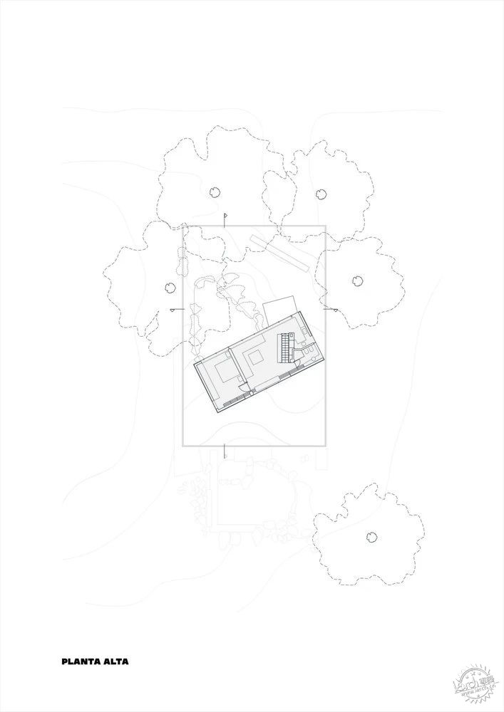 在森林虚空中生长的建筑诗学 | 莫罗住宅第35张图片