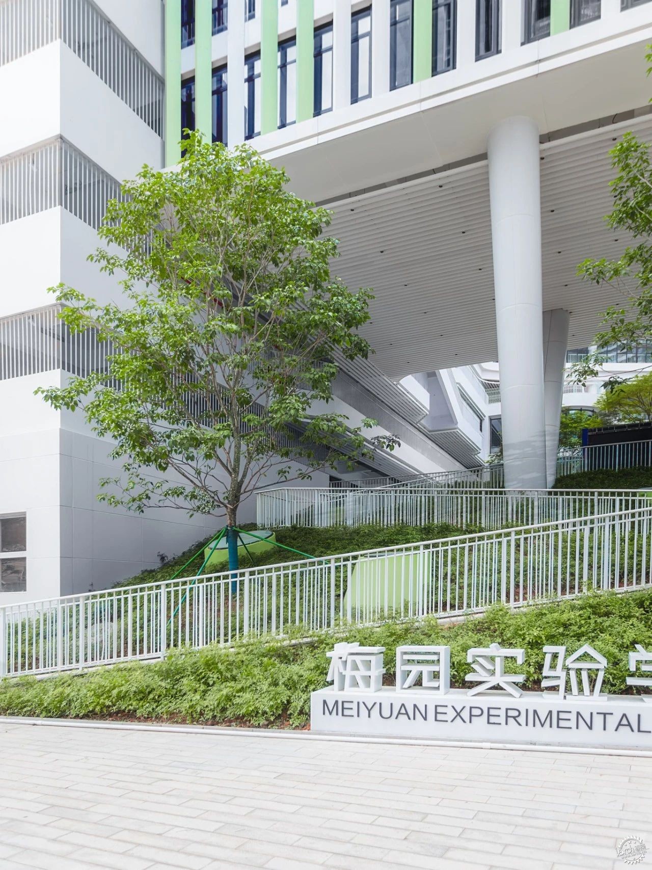 深圳梅园实验学校：于城市山林中开启未来第1张图片
