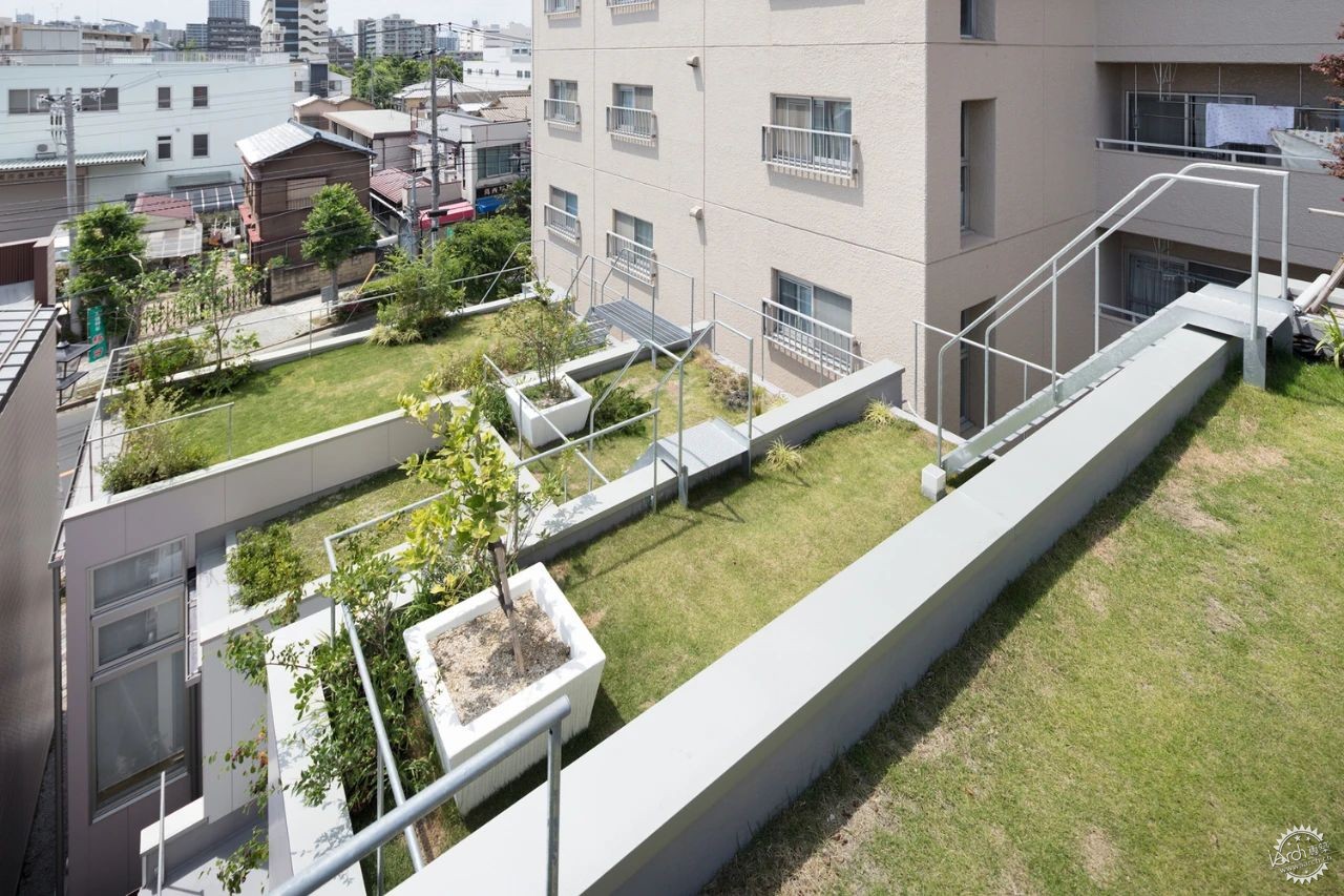 把菜园+高尔夫场搬上屋顶！东京狭长宅神操作第15张图片