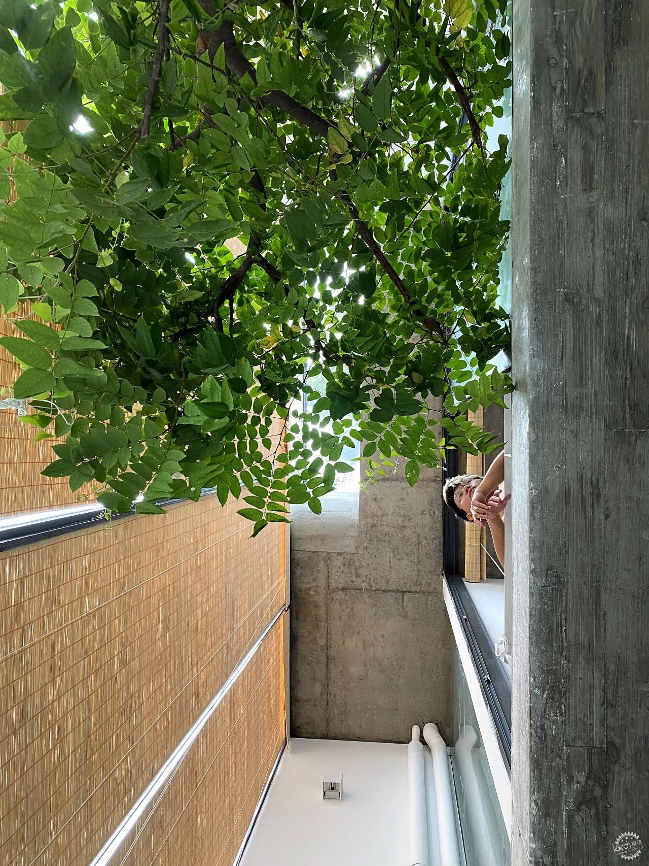 24㎡造5层别墅：夹缝地块的极限借光操作第12张图片