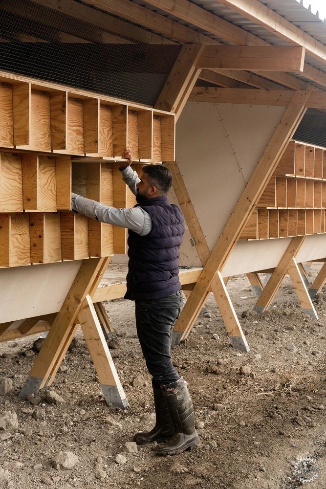 鸡也需要好的建筑设计？看建筑师如何“伺候”最难搞的甲方——800只鸡！第15张图片