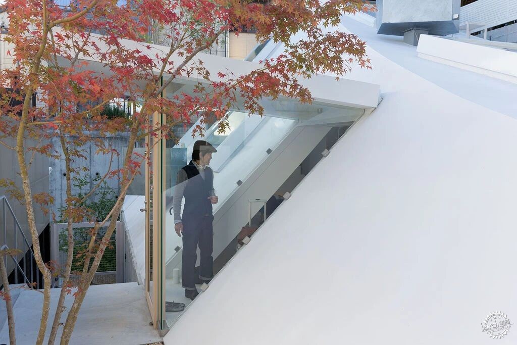 砸掉传统屋顶，在家造一座纯白的山！客厅在屋顶，花园在坡上第11张图片