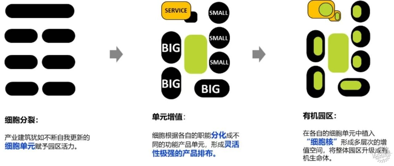 打造“漂亮增长”样本，北京打出美业新王牌第11张图片