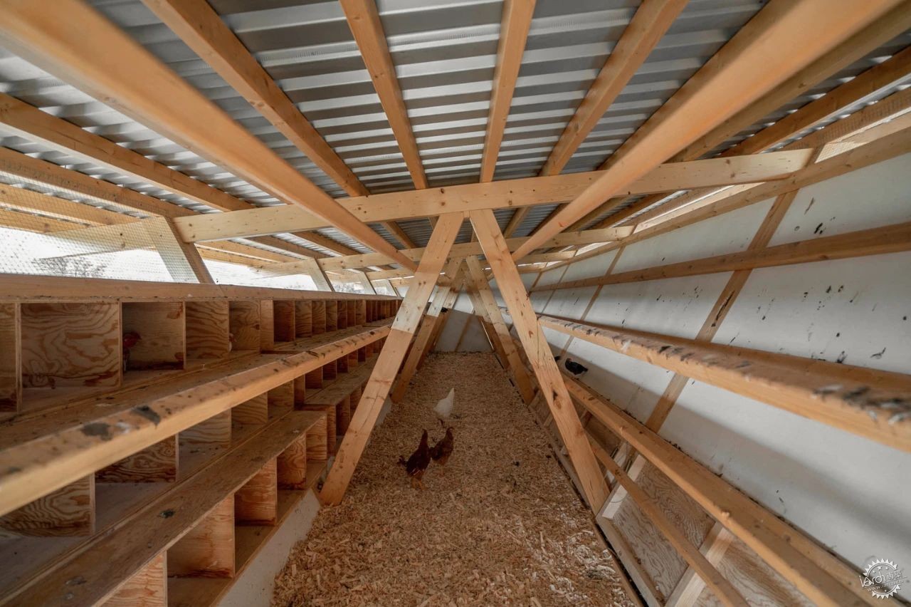 鸡也需要好的建筑设计？看建筑师如何“伺候”最难搞的甲方——800只鸡！第11张图片