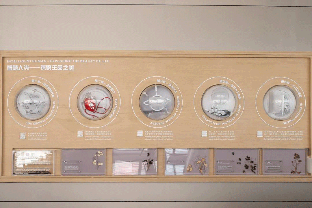 共生作品 | 广开·云领科技城全球路演中心第36张图片