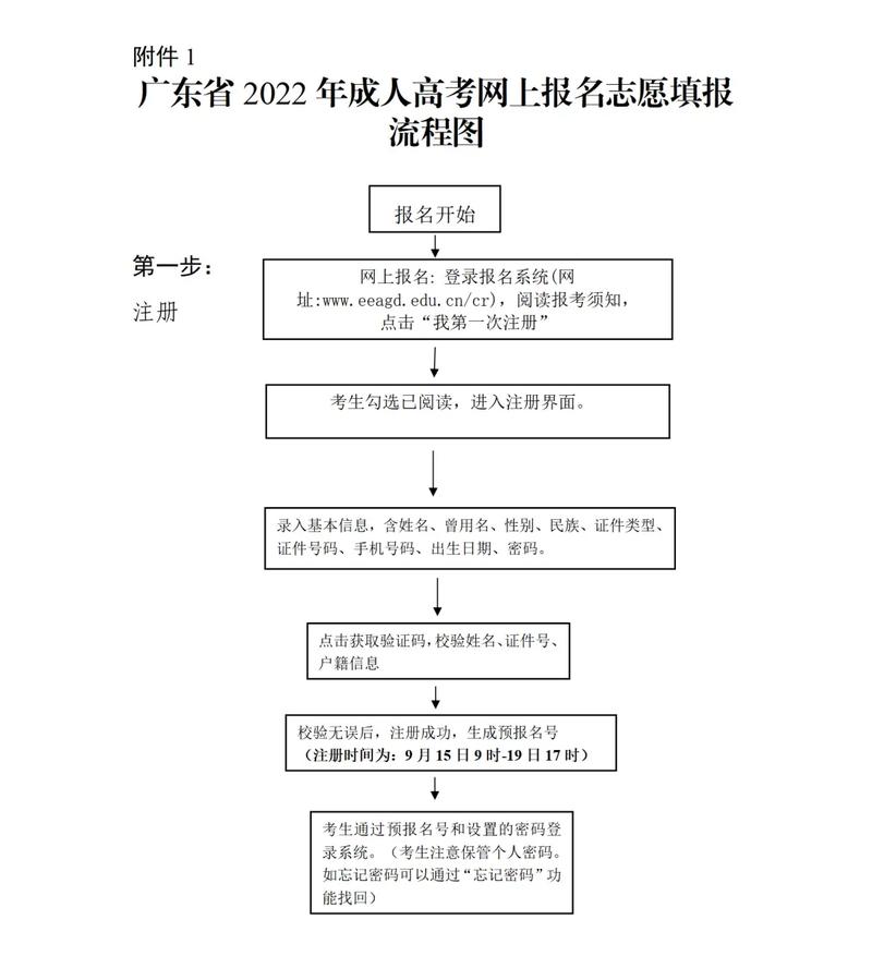 成人高考录取流程详解及后续步骤指南 - 腿腿教学网