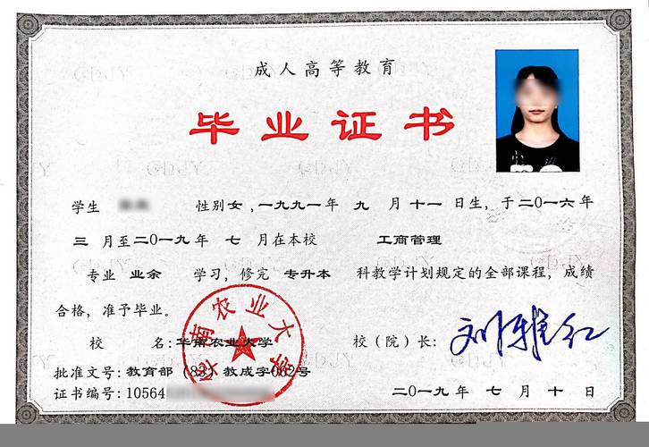 成人高考本科证书什么时候可以拿到及其优势解析 - 腿腿教学网