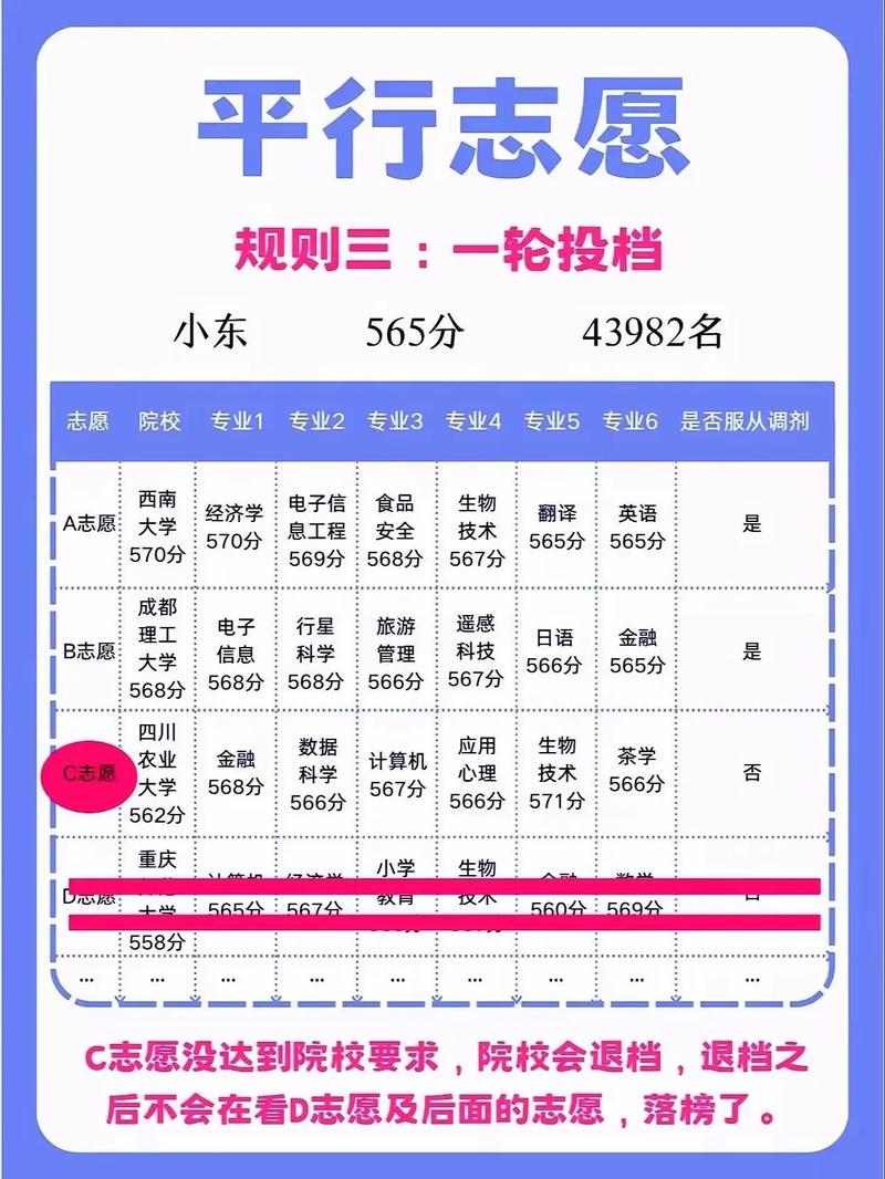2024年成人高考录取和志愿填报规则详细解读 - 腿腿教学网