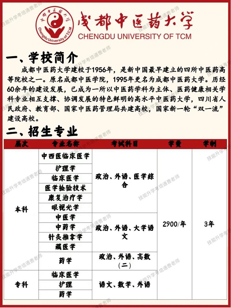 成人高考中医专业就业前景如何？中医专业有哪些优势？ - 腿腿教学网