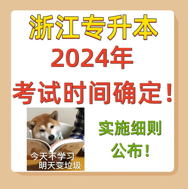 浙江成人高考专升本考试时间及注意事项是什么时候？ - 腿腿教学网