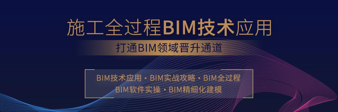 比较一级BIM建模师和二级BIM建模师,应该选择哪个? 比较一级BIM建模师和二级BIM建模师,应该选择哪个? - BIM,Reivt中文网