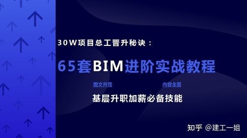 BIM建模师II的年薪 BIM建模师II的年薪 - BIM,Reivt中文网
