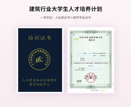 哪些部门会颁发BIM证书？ - BIM,Reivt中文网