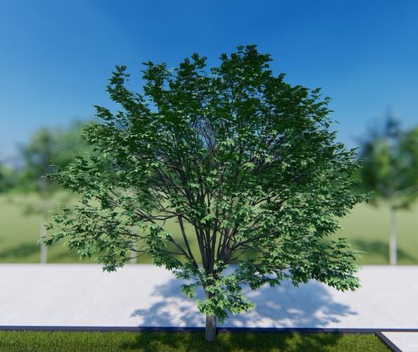 如何在Lumion中实现树木放大 如何在Lumion中实现树木放大 - BIM,Reivt中文网