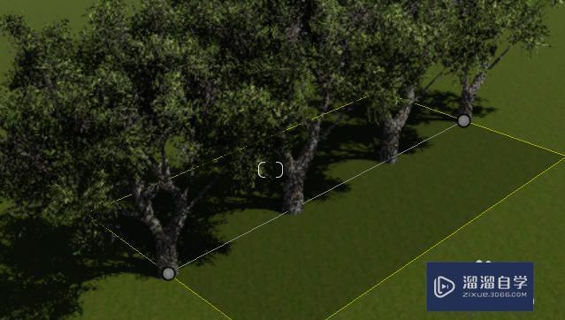 学会在lumion中添加多个树木的方法 学会在lumion中添加多个树木的方法 - BIM,Reivt中文网