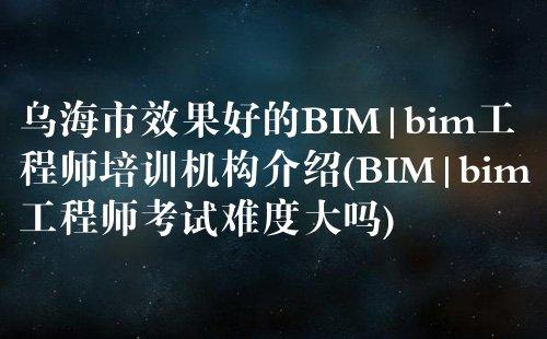 BIM工程师市场前景如何？ - BIM,Reivt中文网