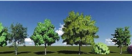 如何在Lumion中创建树木的镜像效果 如何在Lumion中创建树木的镜像效果 - BIM,Reivt中文网