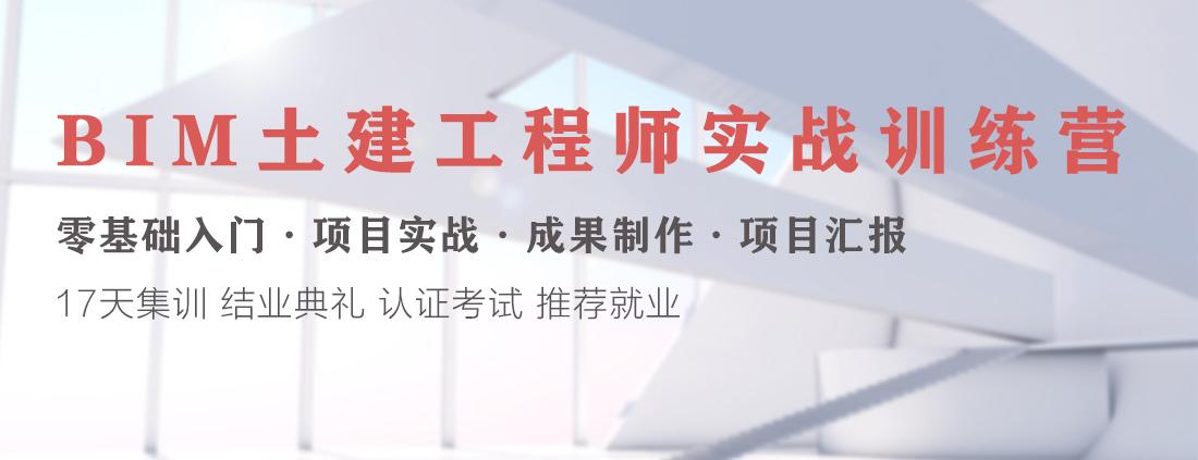 BIM工程师的考试培训指南 BIM工程师的考试培训指南 - BIM,Reivt中文网